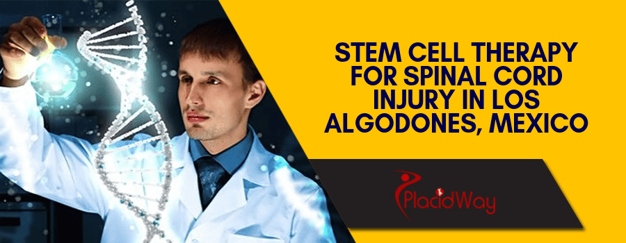 Stem Cell Therapy for Spinal Cord Injury in Los Algodones, Mexico